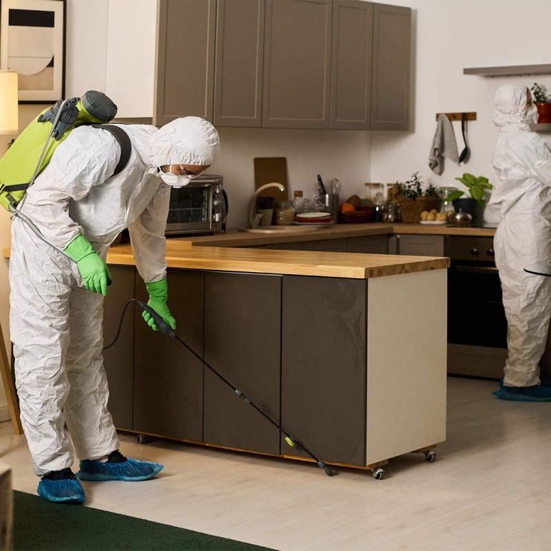 colleagues-in-protective-suits-disinfecting-apartm-2025-04-23-17-13-41-LU7ESFL.jpg